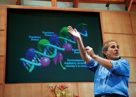 Генетик Брюс Липтон: Сила мысли меняет генетический код человека
