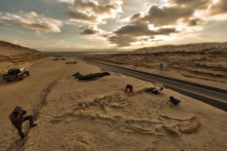 10 загадок, которые пустыня скрывала от людей