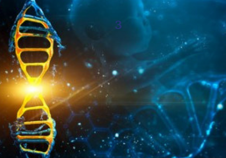 Загадочный текст в молекулах ДНК