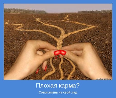 СЕМЕЙНАЯ КАРМА СЕМЕЙНАЯ КАРМА