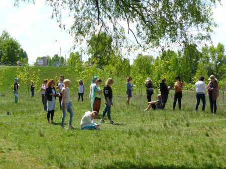 Выездное занятие "ЛАБИРИНТ" 11.05.15 (Фотоотчет)