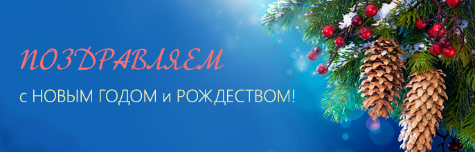 С Новым Годом и Рождеством!