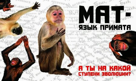 Откуда МАТ произошел?