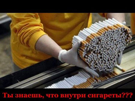 О табачной индустрии. Что внутри сигареты?