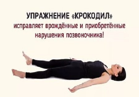 Упражнение «Крокодил» Упражнение «Крокодил»
