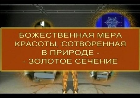 Золотое сечение - Божественная мера красоты