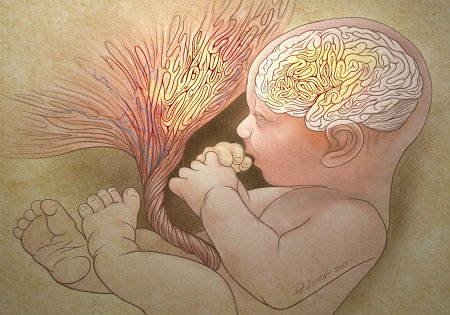 Зачем "медицине" свежая плацента и пуповина наших детей? Зачем "медицине" свежая плацента и пуповина наших детей?