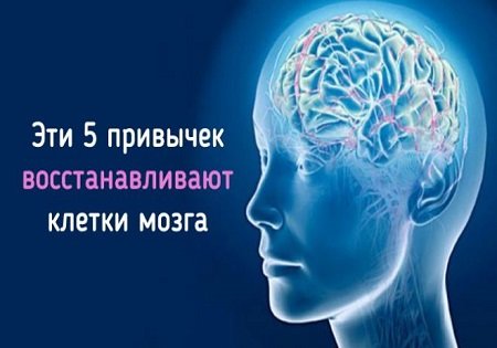 5 привычек, которые восстанавливают клетки мозга