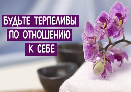 Будьте терпеливы по отношению к себе Будьте терпеливы по отношению к себе