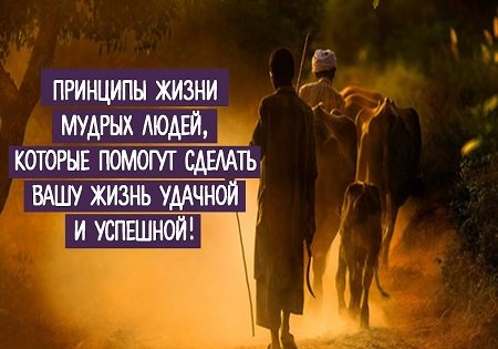 7 ГЛАВНЫХ ПРИНЦИПОВ ЖИЗНИ ОТ МУДРЕЦОВ