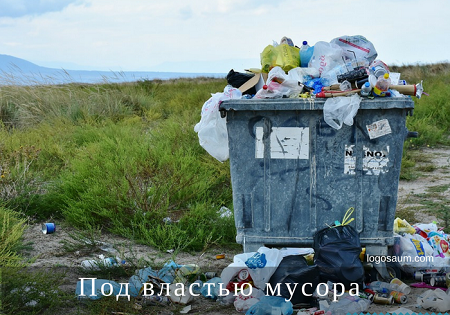 Под властью мусора