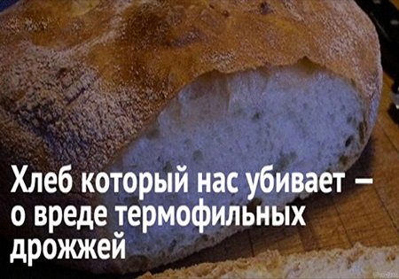 Хлеб, которым нас убивают... Хлеб, которым нас убивают...