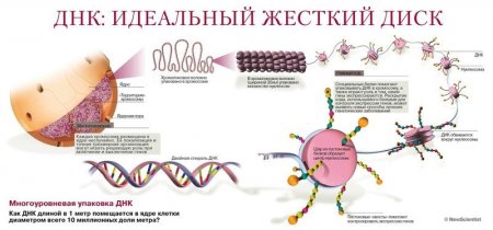 Слова, которые вызывают мутагенный эффект чудовищной силы