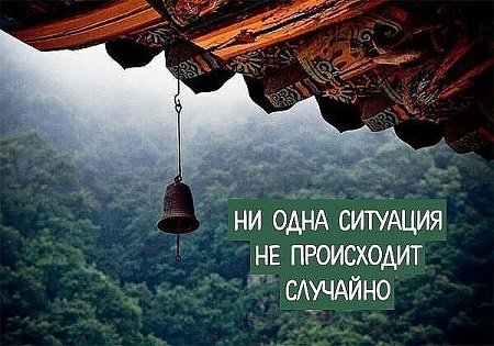 Ни одна ситуация не происходит случайно.