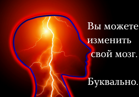 Вы можете изменить свой мозг. Буквально. Физически.