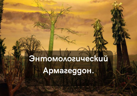 Энтомологический Армагеддон. Энтомологический Армагеддон.