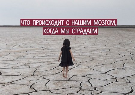 Что происходит с нашим мозгом, когда мы страдаем