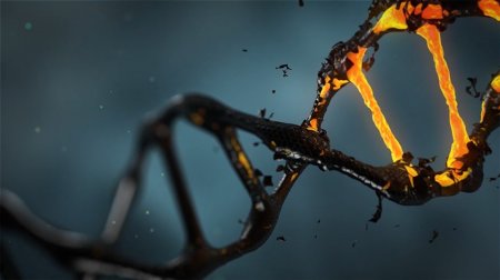 Изменения ДНК изменяют жизнь человека