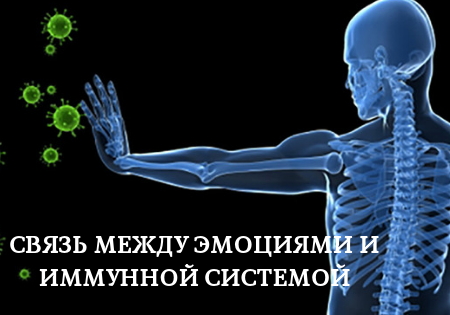 Cвязь между эмоциями и иммунной системой