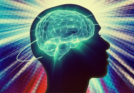 В нашем мозгу обнаружена Многомерная Вселенная В нашем мозгу обнаружена Многомерная Вселенная