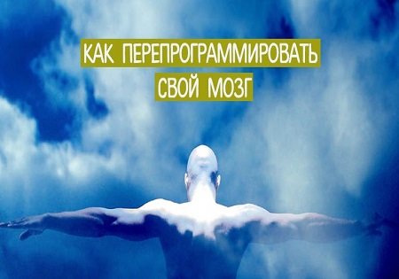 Как перепрограммировать свой мозг Как перепрограммировать свой мозг